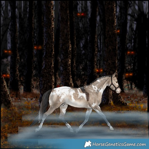 Horse Color:White Spotted Bay Dun Tobiano Appaloosa Rabicano 