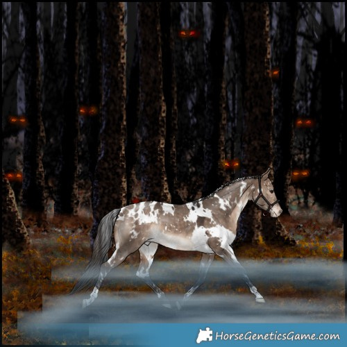 Horse Color:White Spotted Bay Dun Appaloosa Rabicano 