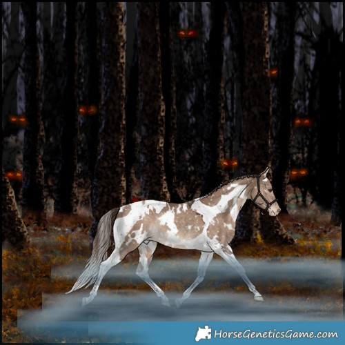 Horse Color:White Spotted Liver Red Dun Tobiano Appaloosa Rabicano 