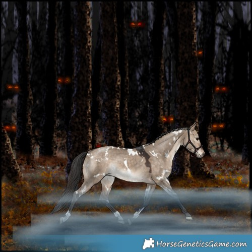 Horse Color:White Spotted Bay Dun Rabicano 