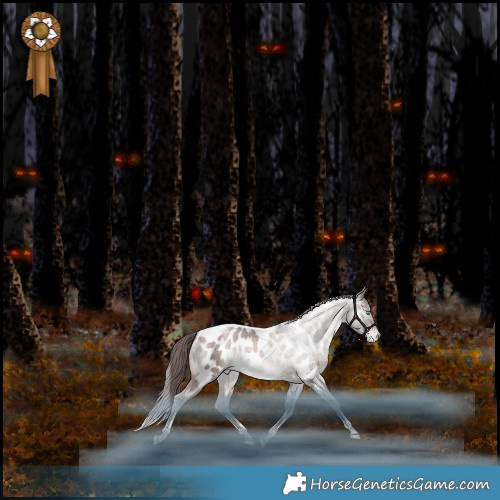Horse Color:Platinum Chocolate Bay Pearl Mushroom Tobiano Appaloosa Rabicano 