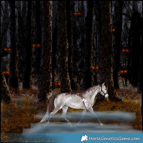 Horse Color:Platinum White Spotted Chocolate Bay Dun Mushroom Rabicano 