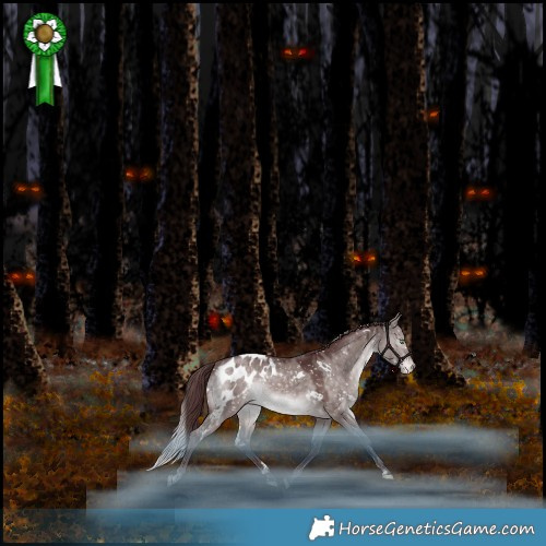 Horse Color:Platinum White Spotted Chocolate Bay Dun Mushroom Appaloosa Rabicano 