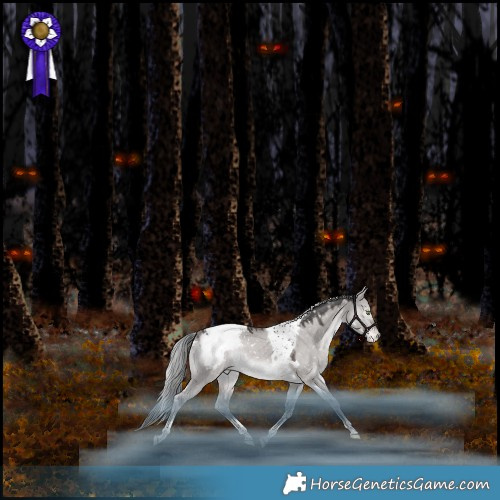 Horse Color:Platinum White Spotted Liver Red Dun Mushroom Tobiano Appaloosa Rabicano