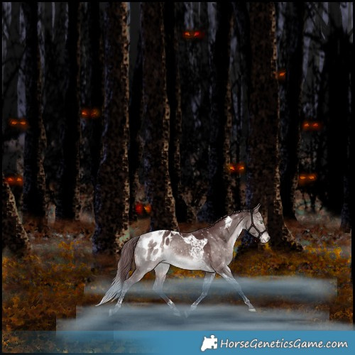 Horse Color:Platinum Chocolate Bay Dun Mushroom Tobiano Appaloosa Rabicano 