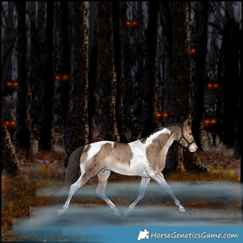 Horse Color:Liver Red Dun Tobiano Appaloosa Rabicano Brindle 