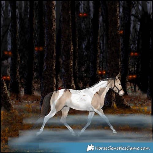 Horse Color:Liver Red Dun Tobiano Rabicano 