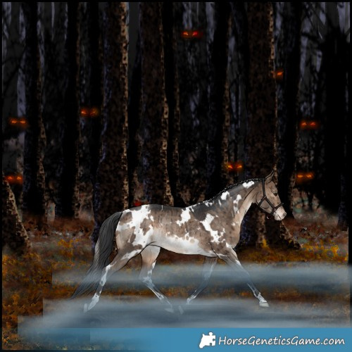 Horse Color:White Spotted Bay Dun Appaloosa Rabicano Brindle 