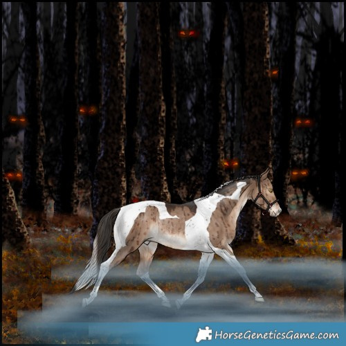Horse Color:Liver Red Dun Tobiano Rabicano Brindle 