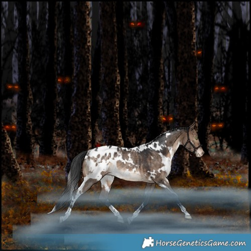 Horse Color:White Spotted Bay Dun Appaloosa Rabicano Brindle 