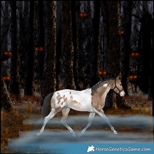 Horse Color:Liver Red Dun Tobiano Appaloosa Rabicano 