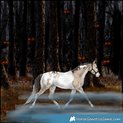 Horse Color:Liver Red Dun Tobiano Appaloosa Rabicano