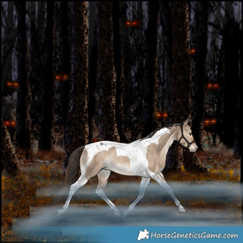 Horse Color:Liver Red Dun Tobiano Rabicano 