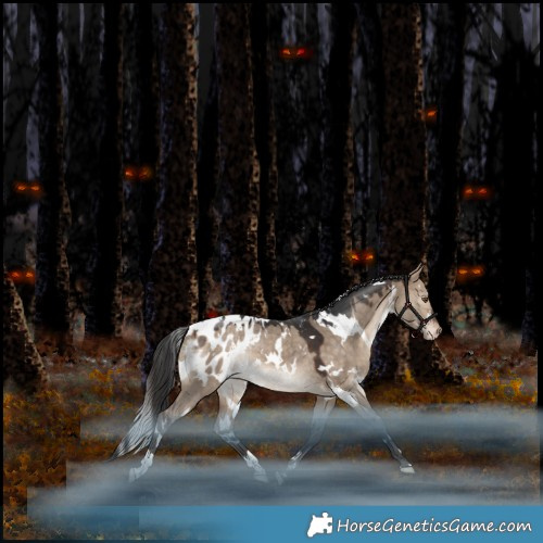 Horse Color:White Spotted Bay Dun Appaloosa Rabicano 