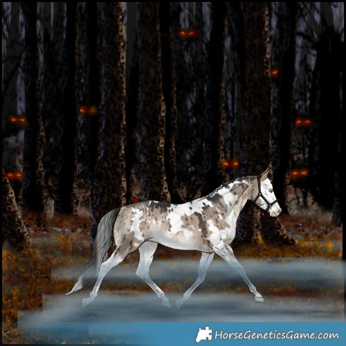 Horse Color:White Spotted Bay Dun Splash Rabicano Brindle 