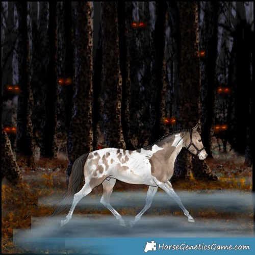 Horse Color:Liver Red Dun Tobiano Appaloosa Rabicano