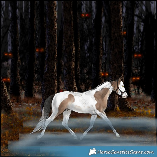 Horse Color:Liver Red Dun Splash Tobiano Rabicano 