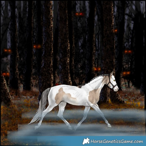 Horse Color:Liver Red Dun Splash Tobiano Rabicano