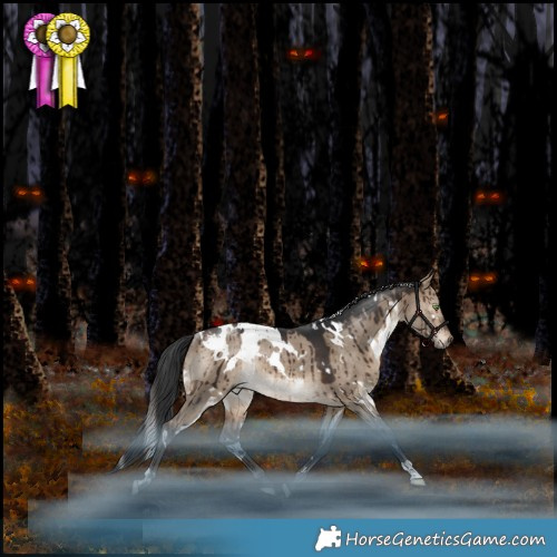 Horse Color:White Spotted Bay Dun Rabicano Brindle 