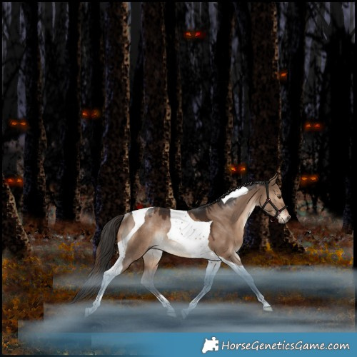 Horse Color:Liver Red Dun Tobiano Rabicano