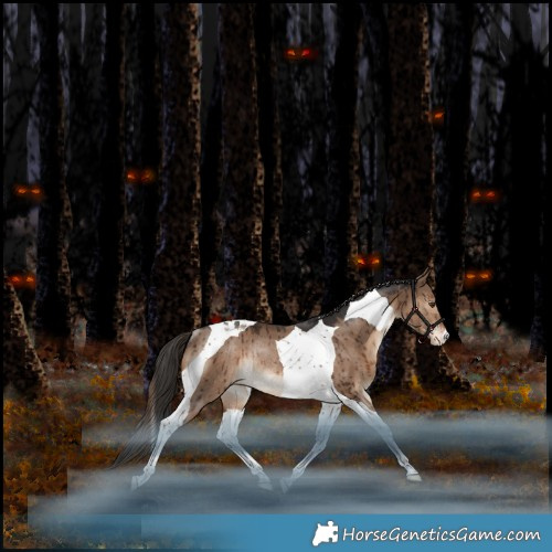 Horse Color:Liver Red Dun Tobiano Appaloosa Rabicano Brindle