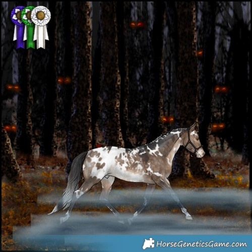 Horse Color:White Spotted Bay Dun Appaloosa Rabicano 