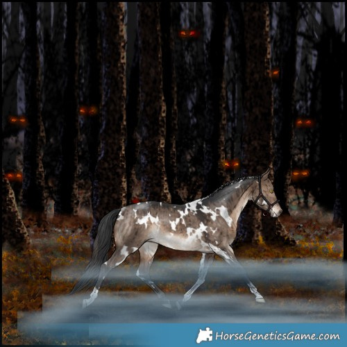 Horse Color:White Spotted Bay Dun Rabicano Brindle