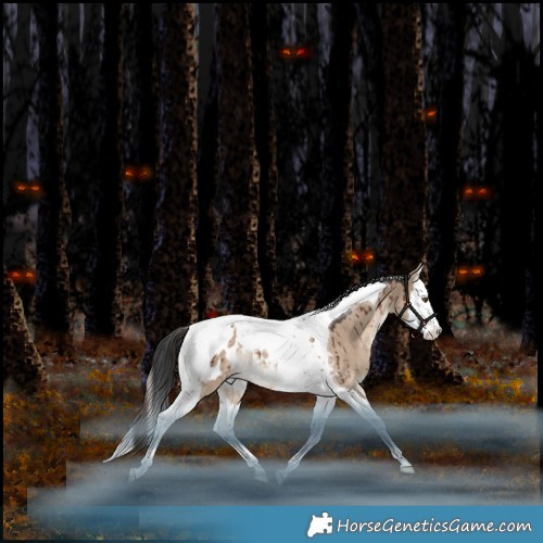 Horse Color:Liver Red Dun Splash Tobiano Appaloosa Rabicano Brindle 