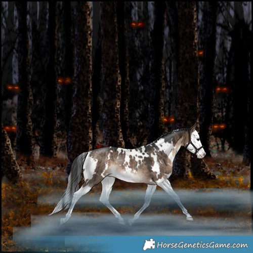 Horse Color:White Spotted Bay Dun Splash Rabicano Brindle 