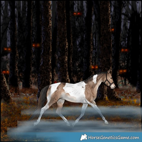 Horse Color:Liver Red Dun Tobiano Rabicano Brindle 