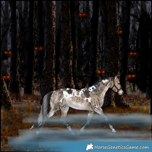 Horse Color:White Spotted Bay Dun Rabicano Brindle 