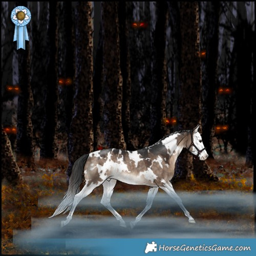 Horse Color:White Spotted Bay Dun Splash Appaloosa Rabicano 