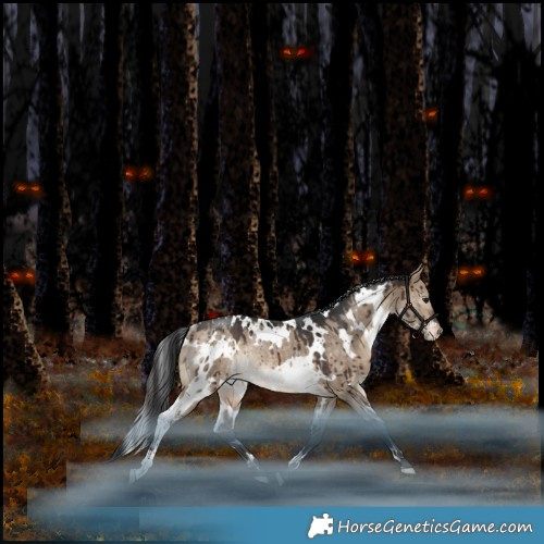 Horse Color:White Spotted Bay Dun Appaloosa Rabicano Brindle 