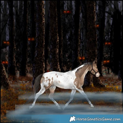 Horse Color:Liver Red Dun Tobiano Appaloosa Rabicano 