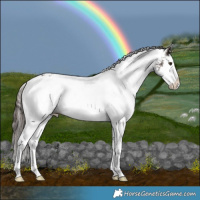 Horse Color:White Spotted Liver Chestnut Splash Blanket