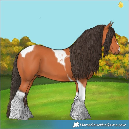 Horse Color:Bay Tobiano 