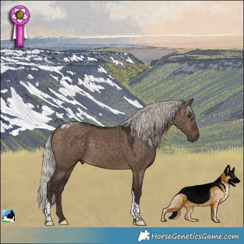 Horse Color:Silver Brown Dun Tobiano 