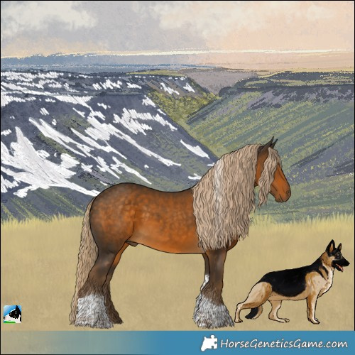 Horse Color:Chocolate Palomino Tobiano Rabicano