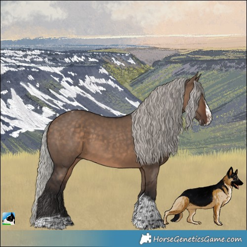 Horse Color:Silver Brown Dun Splash Tobiano Rabicano 