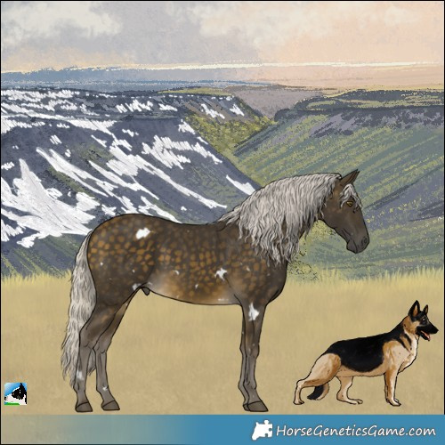 Horse Color:White Spotted Silver Buckskin Rabicano