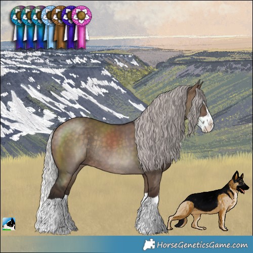 Horse Color:Silver Brown Dun Splash Rabicano 