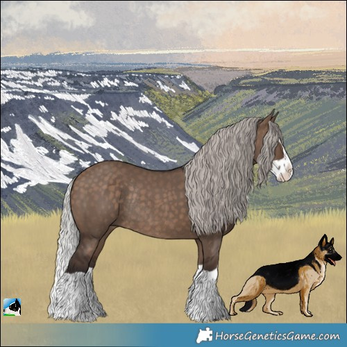 Horse Color:Silver Brown Dun Splash Rabicano 