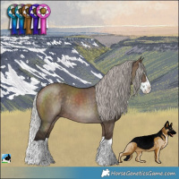 Horse Color:Silver Brown Dun Splash Rabicano