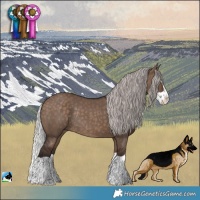 Horse Color:Silver Brown Dun Splash Rabicano