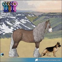 Horse Color:Silver Brown Dun Splash Rabicano 