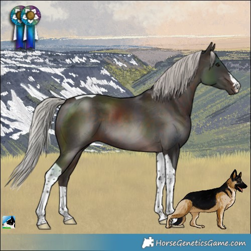 Horse Color:Silver Brown Tobiano 