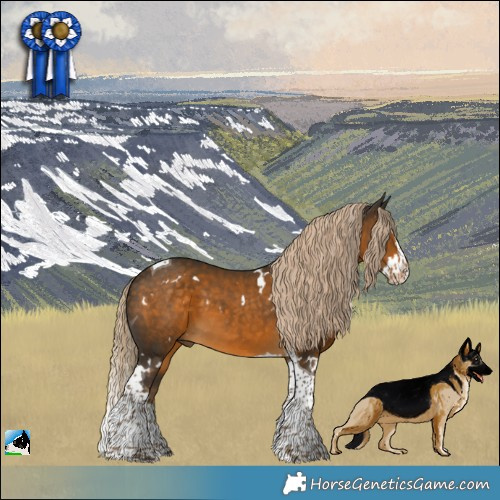 Horse Color:White Spotted Chocolate Palomino Splash Tobiano 