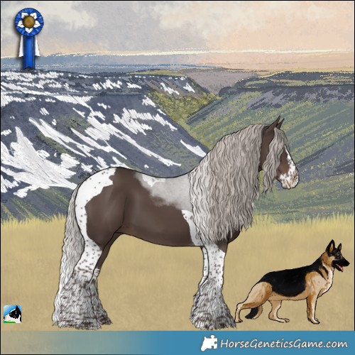 Horse Color:Silver Black Splash Tobiano 
