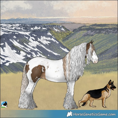 Horse Color:White Spotted Chocolate Palomino Splash Tobiano 