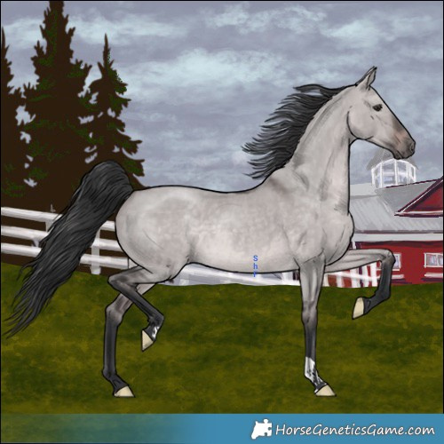 Horse Color:Platinum Brown Dun 